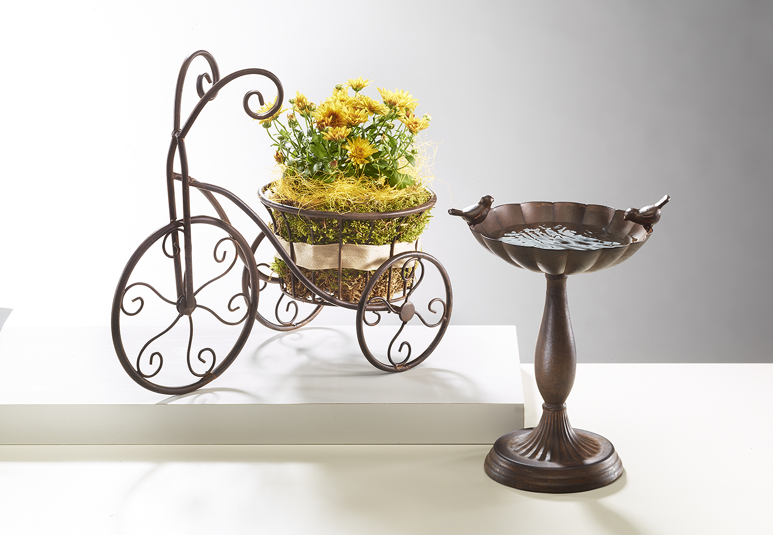 Blumenhocker & Pflanzenst�nder