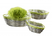 Pflanzgef�� Schiffchenform grau Weide m. Folie ausgeschlagen und gr�nem Rand S/3