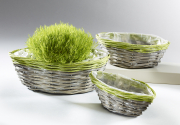 Pflanzgef�� Schiffchenform grau Weide m. Folie ausgeschlagen und gr�nem Rand S/3