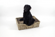Hundelager PUPPY aus Rattan grau 81x62x21 cm mit passendem Kissen