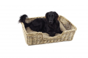 Hundelager PUPPY aus Rattan grau 94x74x26 mit passendem Kissen
