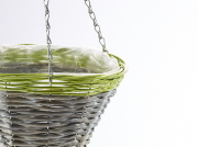 Blumenampel rund aus Weide grau mit gr�nem Rand aus Polyrattan