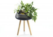 Pflanztopf SMILLA mit Holzgestell aus Buche in Dunkelgrau